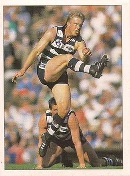 1992 Select AFL Stickers #124 Steven Hocking Front